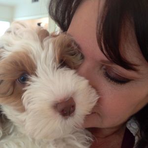 Meet your Posher, Faye